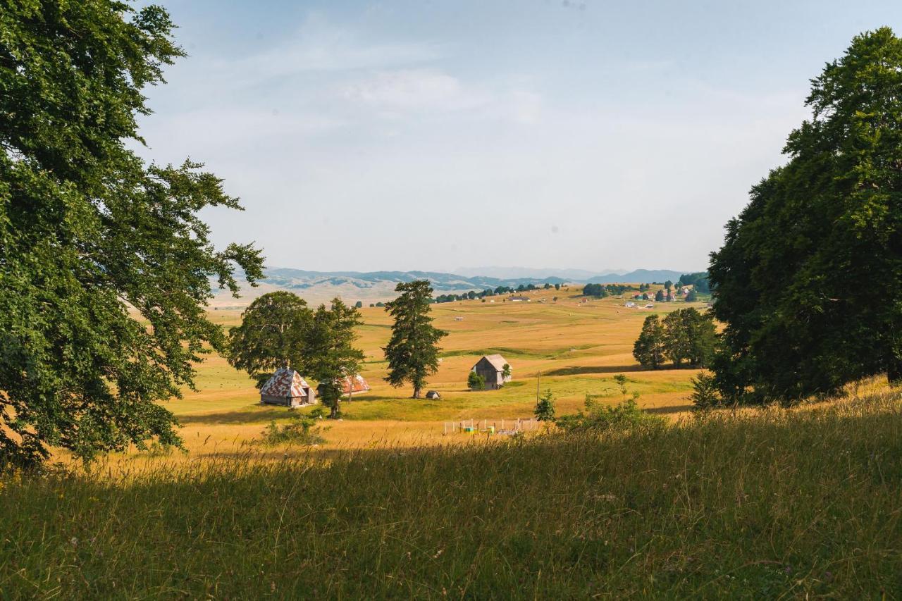 Highlander'S House Villa Žabljak Buitenkant foto