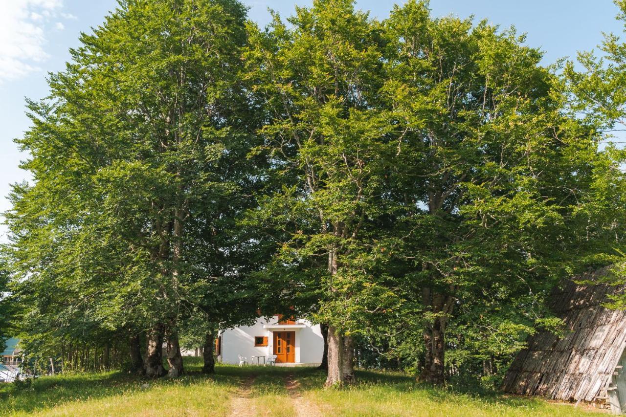 Highlander'S House Villa Žabljak Buitenkant foto